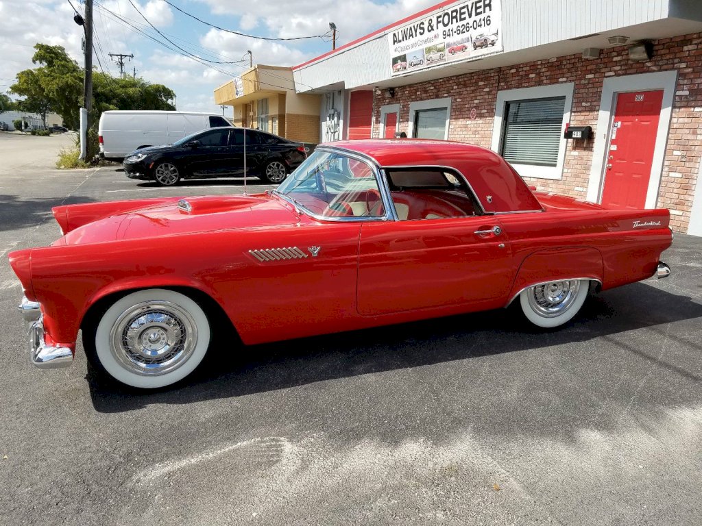 1955_ford_thunderbird