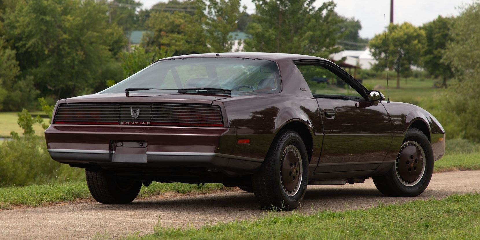 1982 Pontiac Firebird 2 Cropped