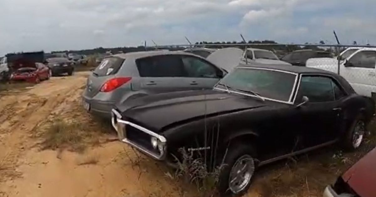 Pontiac Firebird barn find, junkyard, front