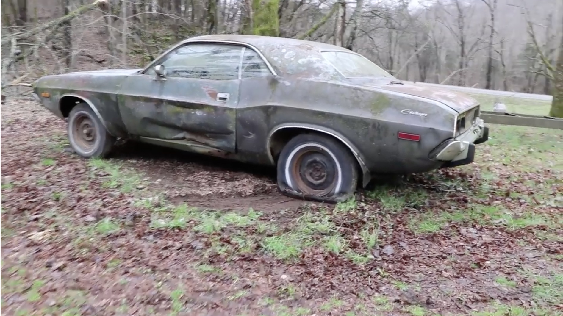 Image result for ABANDONED Dodge Challenger Rescued After 35 Years