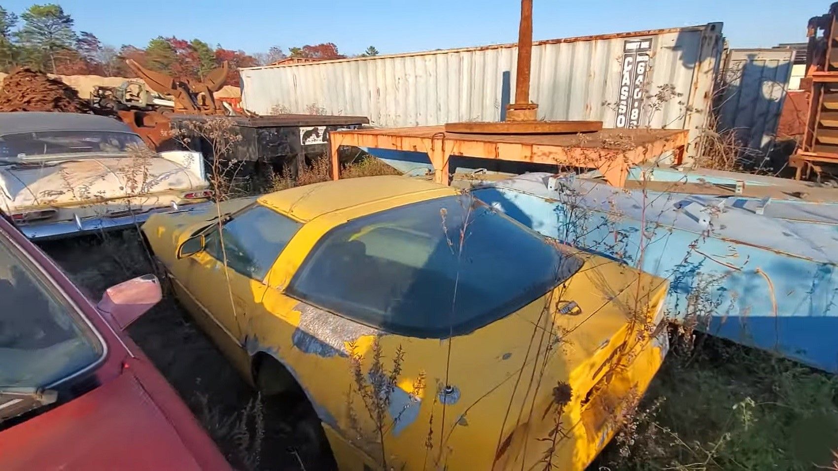 Closeup of Chevrolet Corvette, yellow, abandoned cars in field