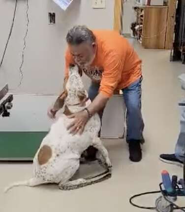 A dog reunites with his dad.